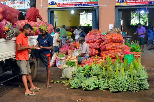 Fresh produce traders at Dambulla Market