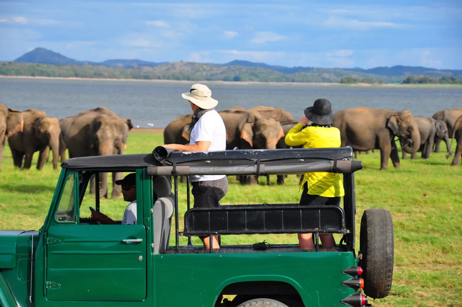 Guests watching a herd of wild elephants during a Sri Lankan safari